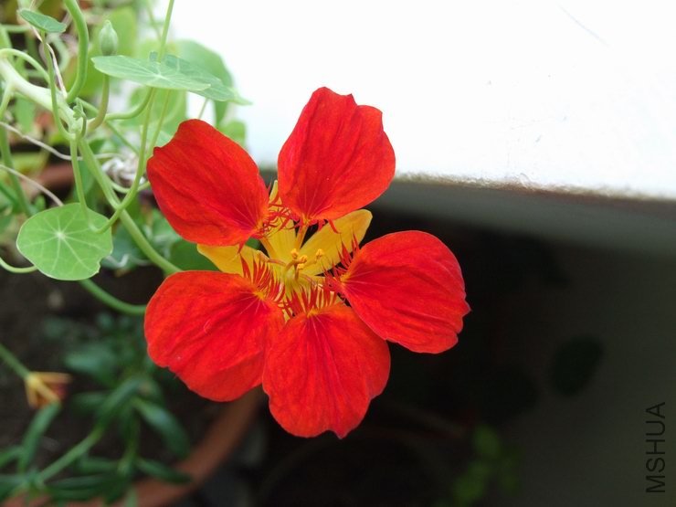 ������С С��c189.JPG