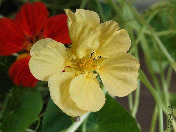 ������С С��d207.JPG