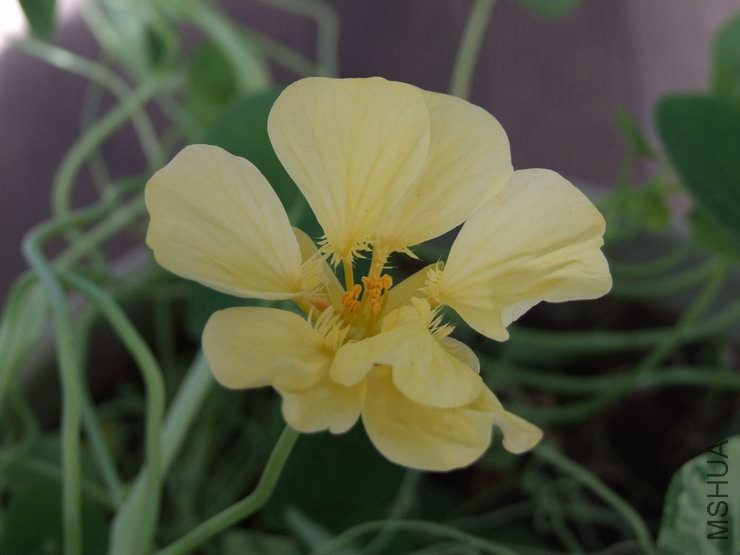 ������С С��d204.JPG