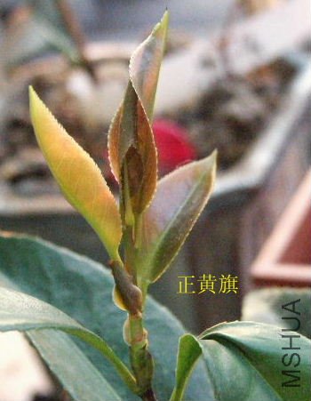 2009_02250019.JPG