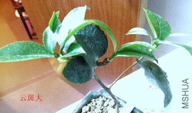2009_03240000032.JPG