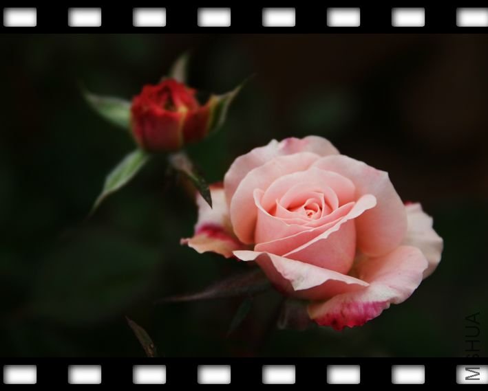 nEO_IMG_IMG_7964.jpg