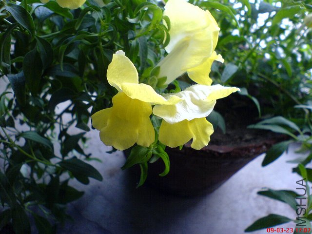 DSC01002.jpg