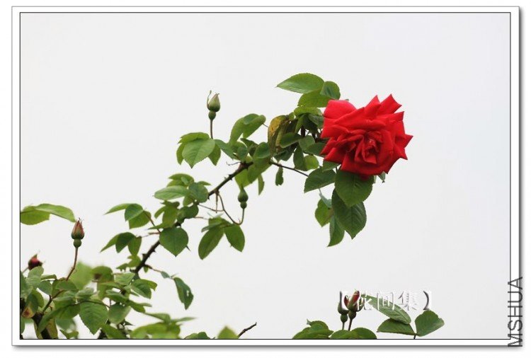 IMG_3614 ����.jpg