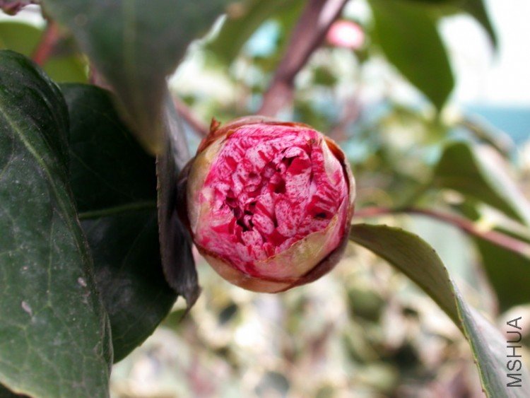 DSCN3556.jpg