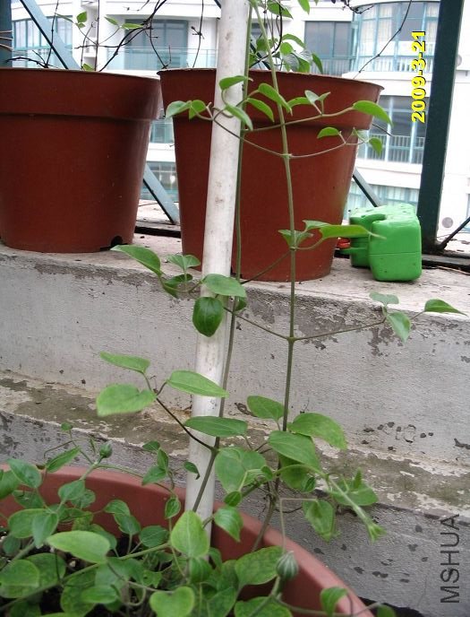 nEO_IMG_D��Ƭ 30089.jpg