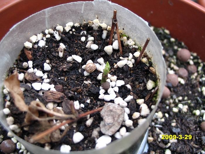 nEO_IMG_D��Ƭ 30107.jpg