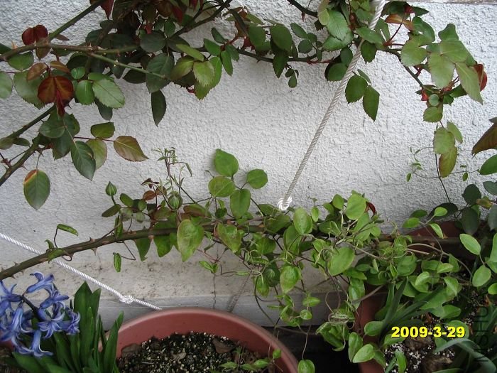 nEO_IMG_D��Ƭ 30115.jpg