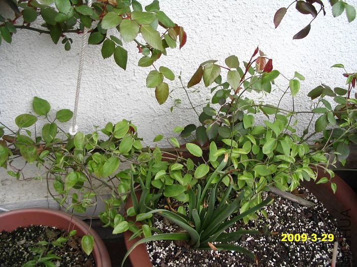 nEO_IMG_D��Ƭ 30114.jpg