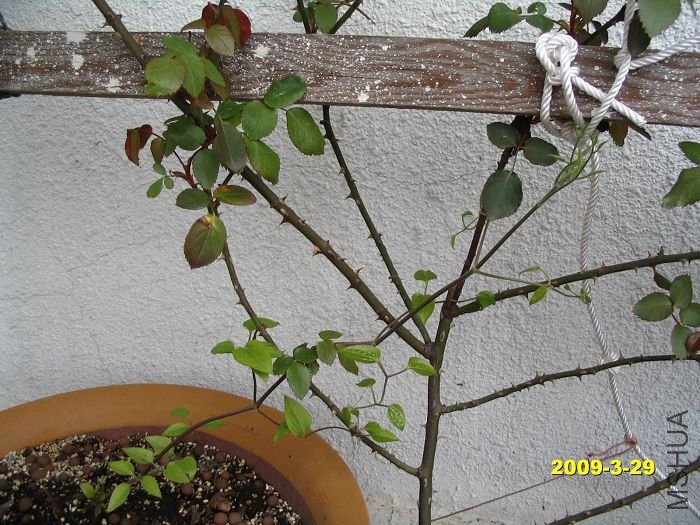 nEO_IMG_D��Ƭ 30117.jpg