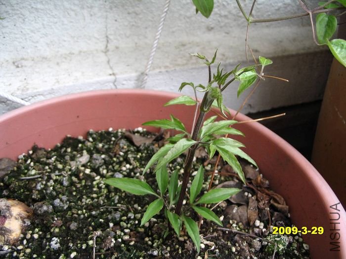 nEO_IMG_D��Ƭ 30118.jpg