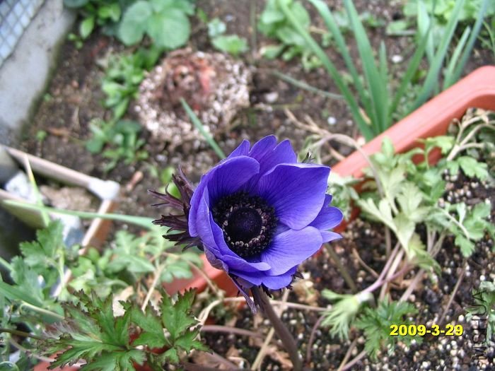 nEO_IMG_D��Ƭ 30104.jpg