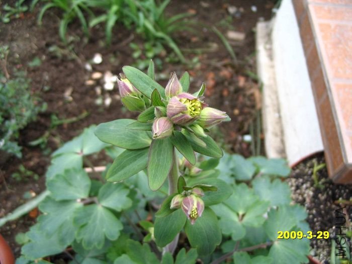 nEO_IMG_D��Ƭ 30099.jpg