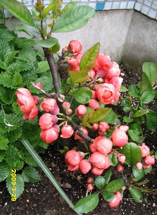 nEO_IMG_D��Ƭ 30105.jpg