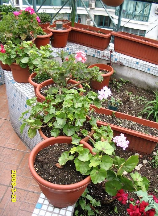 �ɹ���������