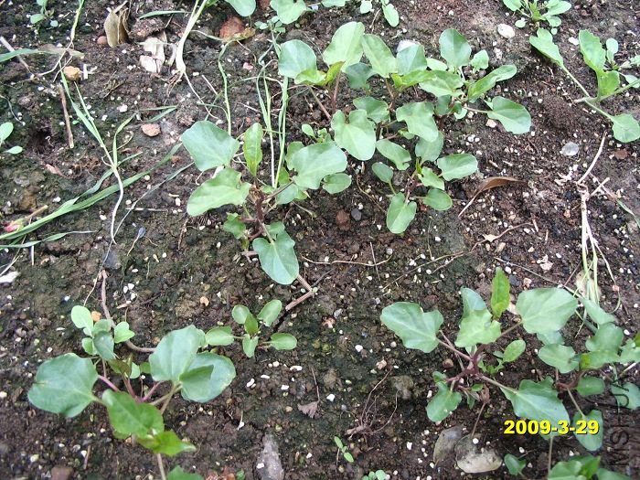 nEO_IMG_D��Ƭ 30102.jpg