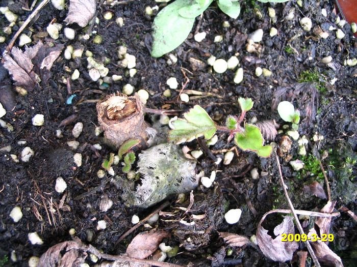 nEO_IMG_D��Ƭ 30125.jpg