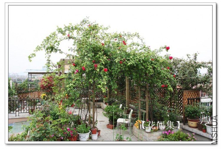 IMG_3238 ����.jpg