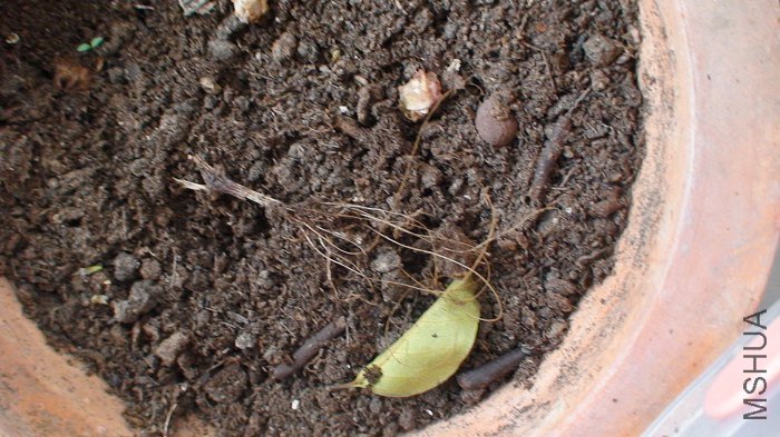 ����Ƕ�������, ������ϵ��ǰ����, һֱ���ñȲ������˺�, ֻ��ϧ�����������, �Թ��������. ���۰�!