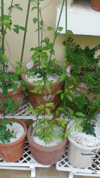 2-19��, ���ٺ�ֲ��Ͳ��ٳ�����, Ȧ��û����, ����2֧��.