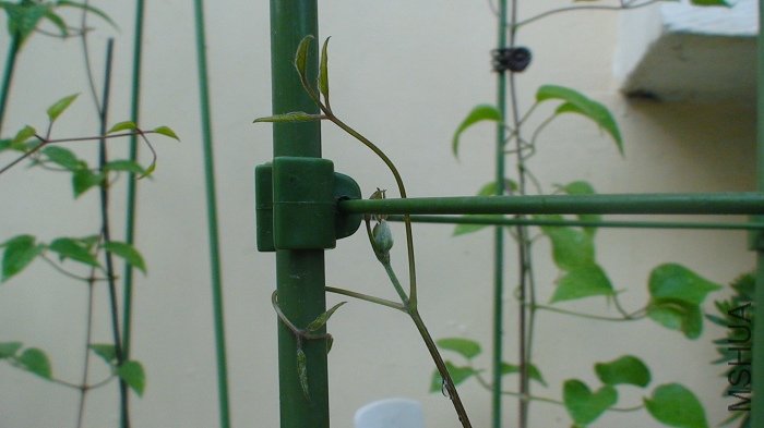 ������һ�������Ļ�����д, ����2-6�յ�.