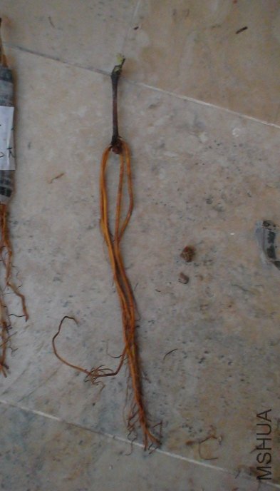 �������������.ֻ��3����������ʧ������! ��Ȼ�������һ������5CM������, ���Ҫ��������ǿ.