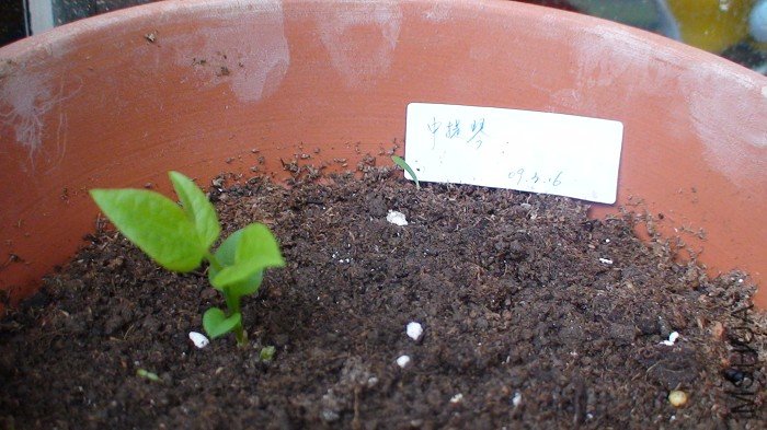 ʮ����������, ����Ҳ����ѿ, �Ҳ�����ôΪ������, ��ֻ��˵�ǳɻ��˶���.