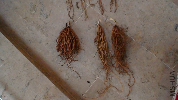 ����ȫ��! ����: ����, 31��(��֪��)��ɫ�ĵ��ӻ�, СѼ.