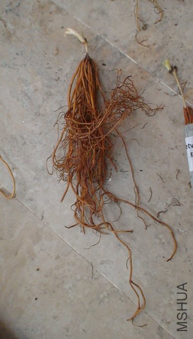 СѼ���������϶�, ��ϵ����Ѿ�������������, ֻ��ϧ��ʱ����һ��ܴ��ѿ!