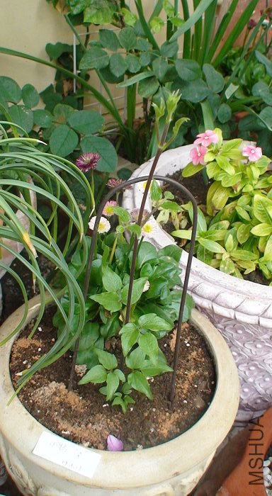 ʮ��������, Ҳ���ܸ���!