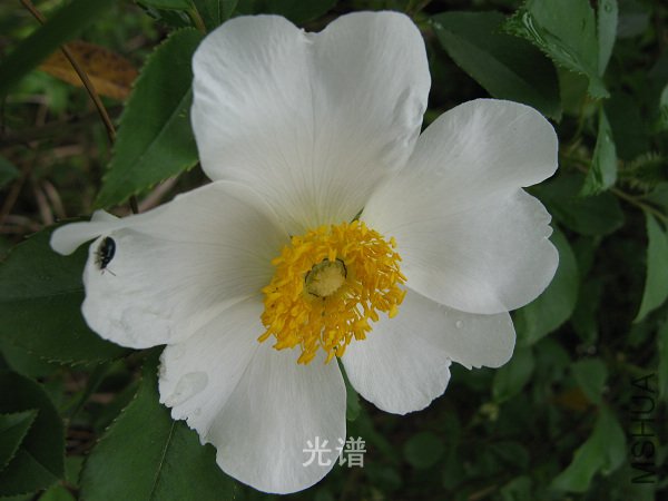 ��Ƭ 047.jpg