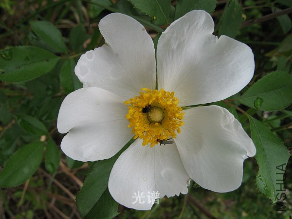 ��Ƭ 046.jpg