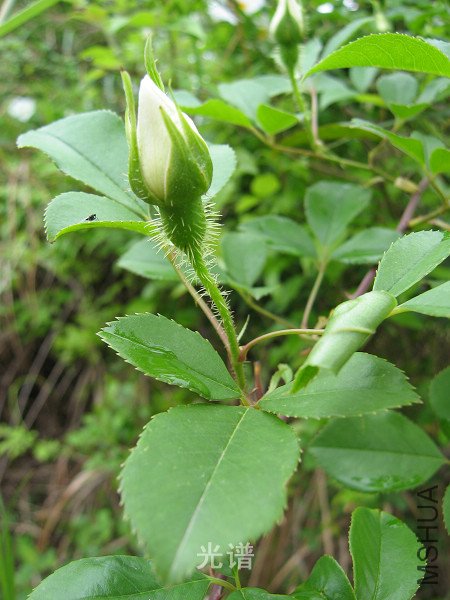 ��Ƭ 048.jpg
