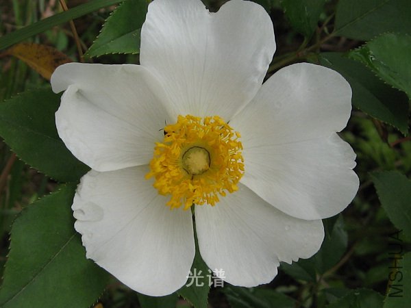 ��Ƭ 061.jpg