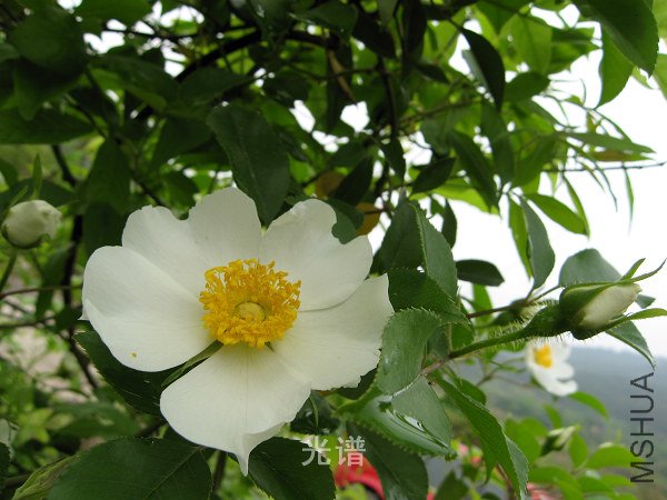 ��Ƭ 053.jpg