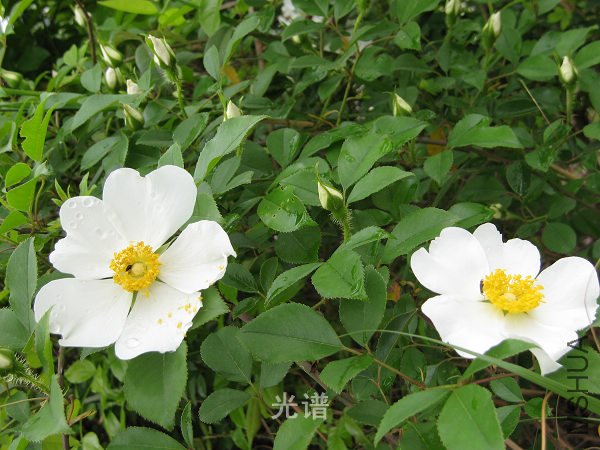 ��Ƭ 057.jpg