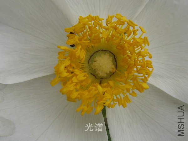 ��Ƭ 060.jpg