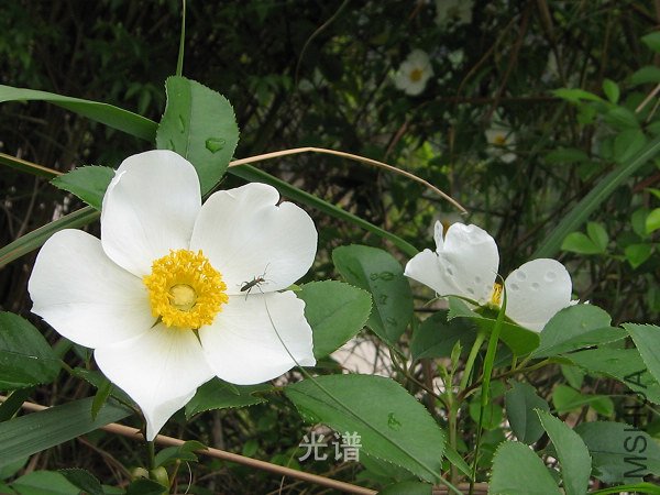 ��Ƭ 055.jpg
