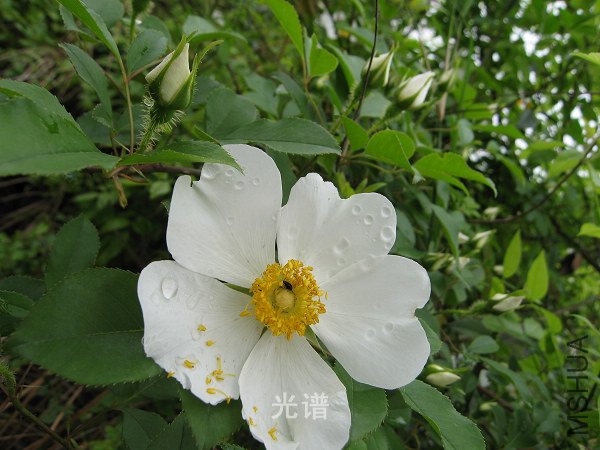 ��Ƭ 050.jpg