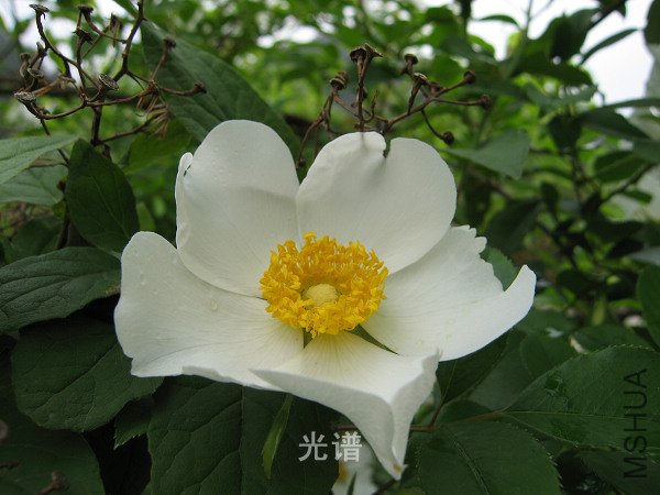 ��Ƭ 051.jpg
