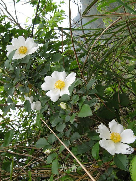 ��Ƭ 091.jpg