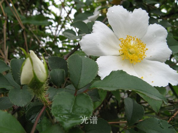 ��Ƭ 095.jpg