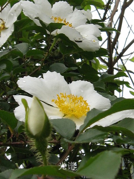 ��Ƭ 086.jpg