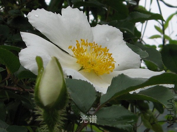 ��Ƭ 087.jpg