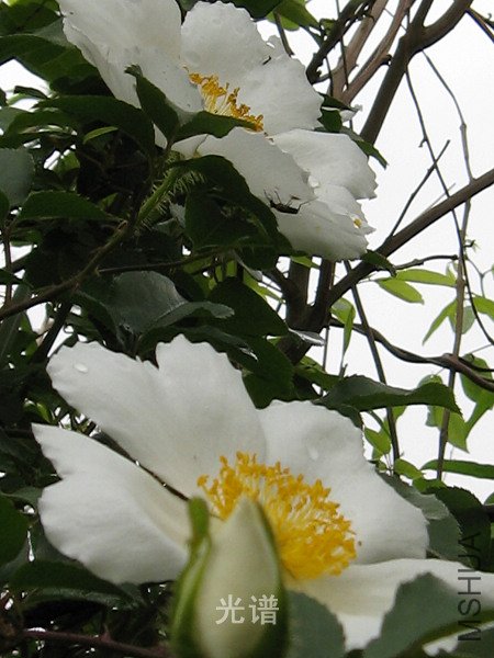 ��Ƭ 088.jpg