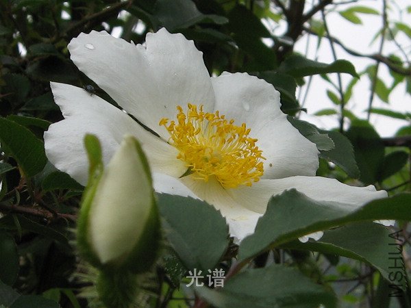 ��Ƭ 084.jpg