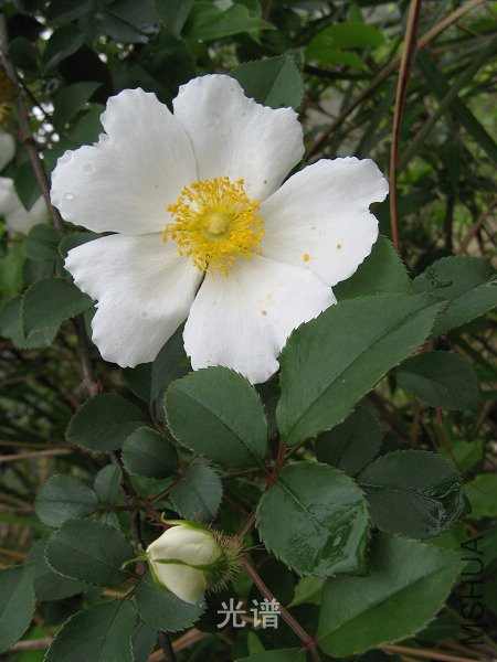 ��Ƭ 093.jpg