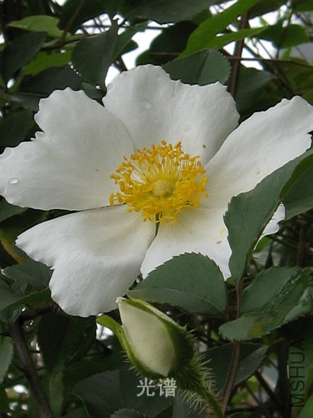 ��Ƭ 090.jpg