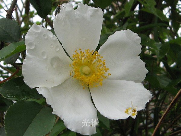 ��Ƭ 085.jpg