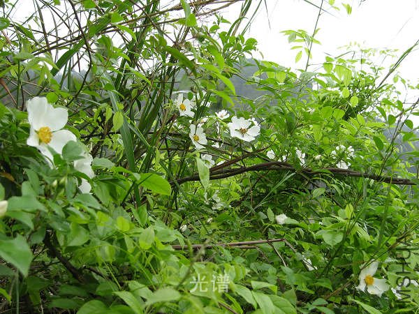 ��Ƭ 056.jpg